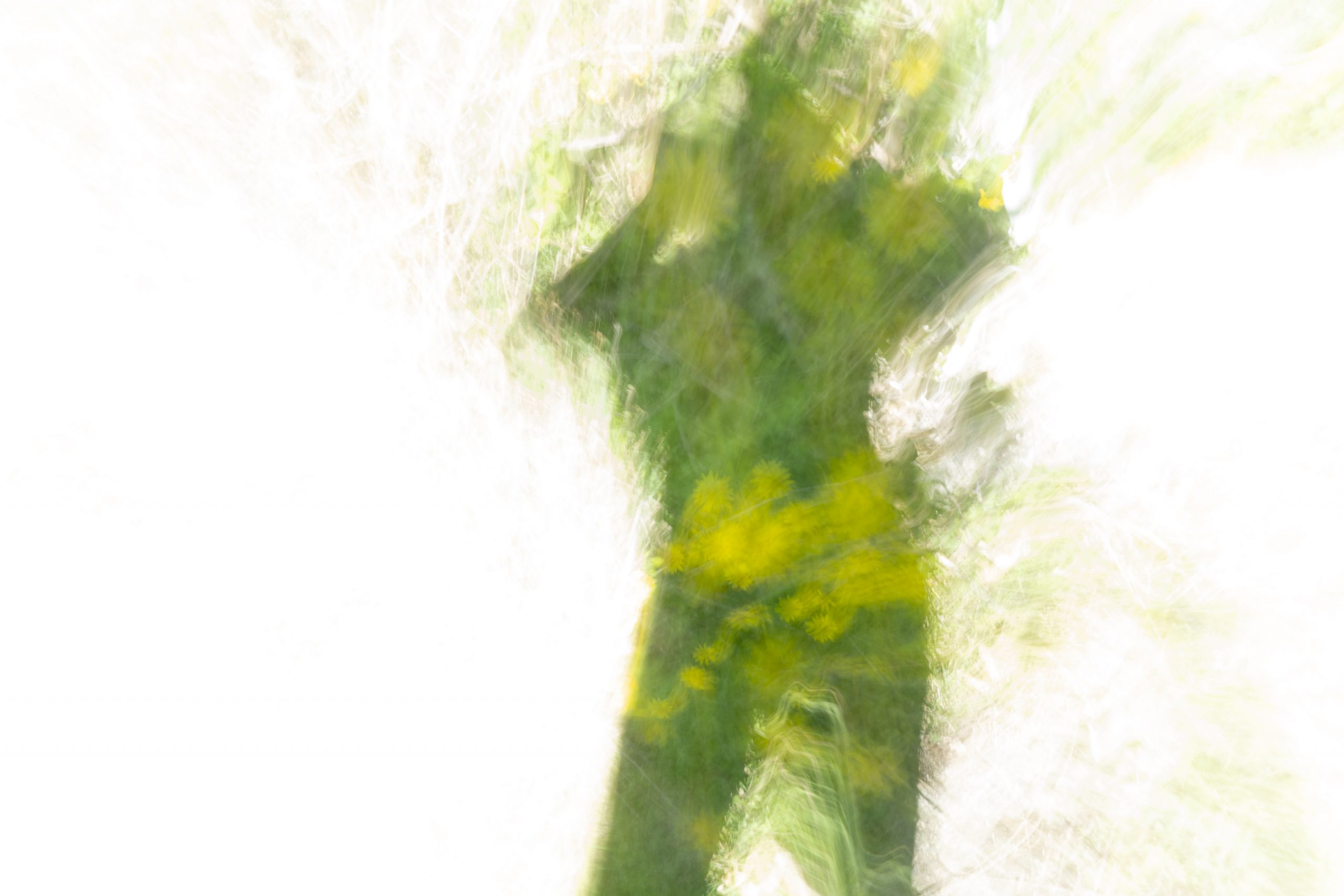 Self-portrait with dandelions 1